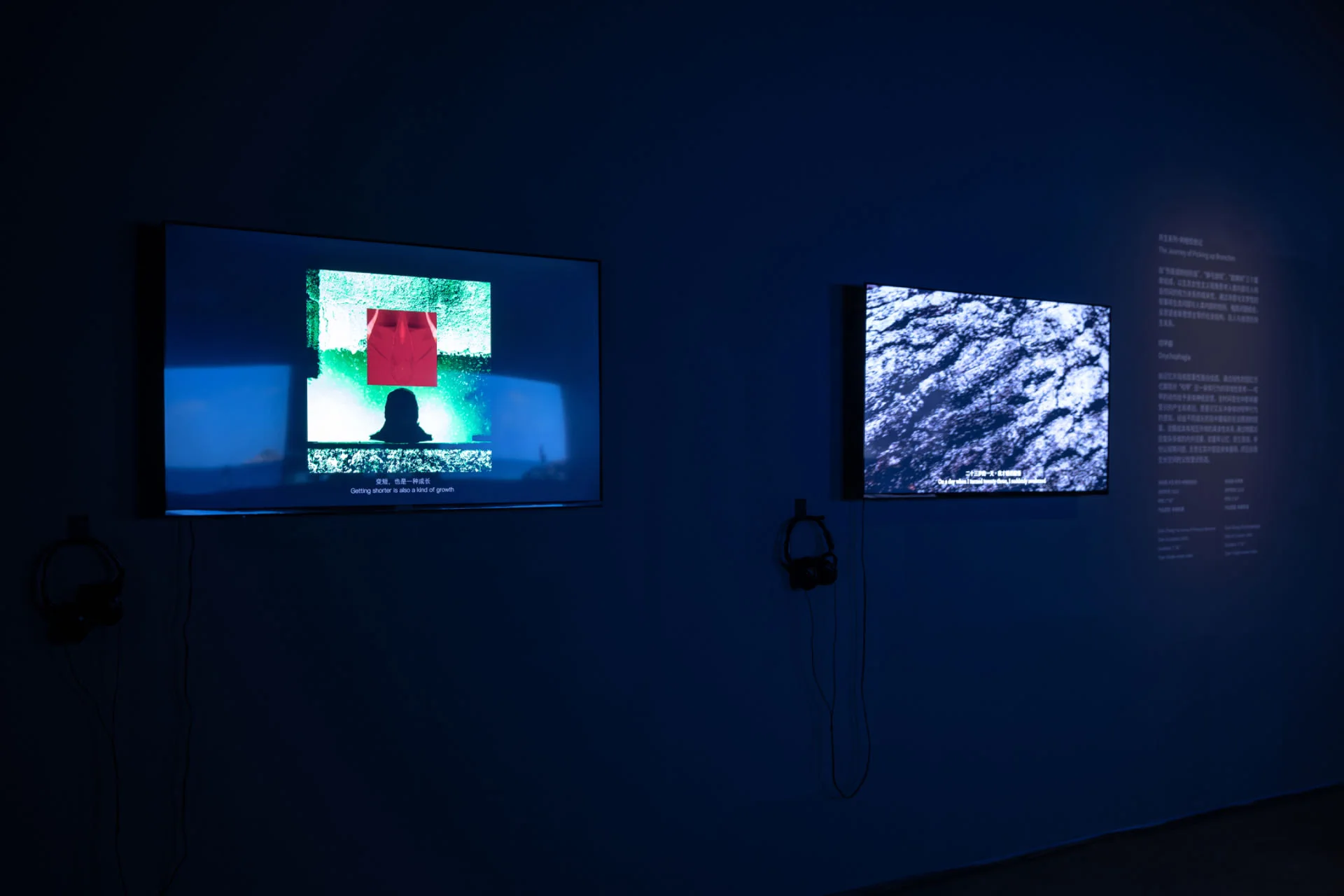 Installation documentation 8, Onychophagia