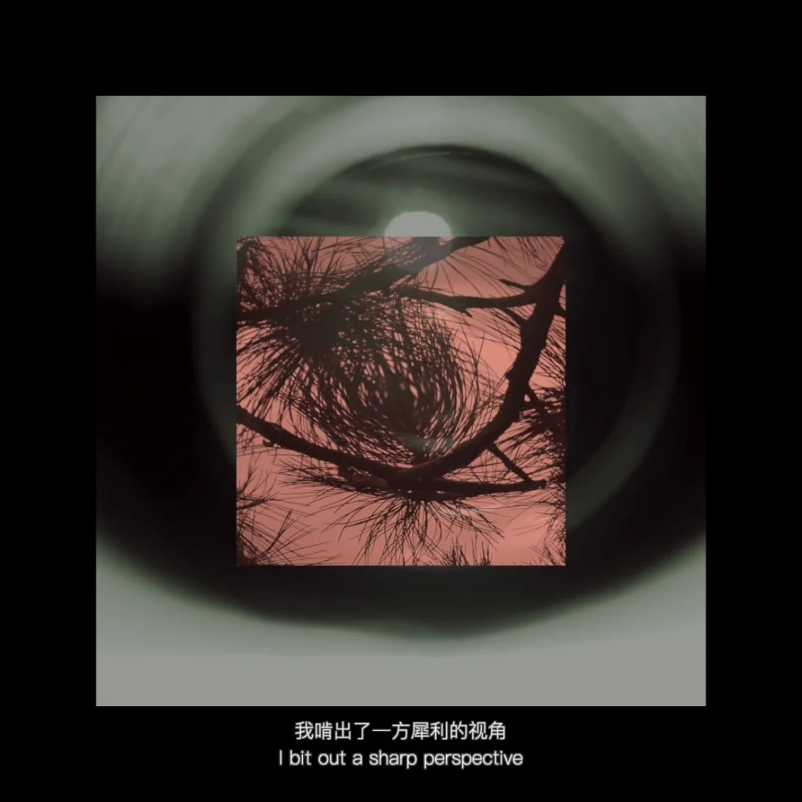 Video still 6, Onychophagia, 2023