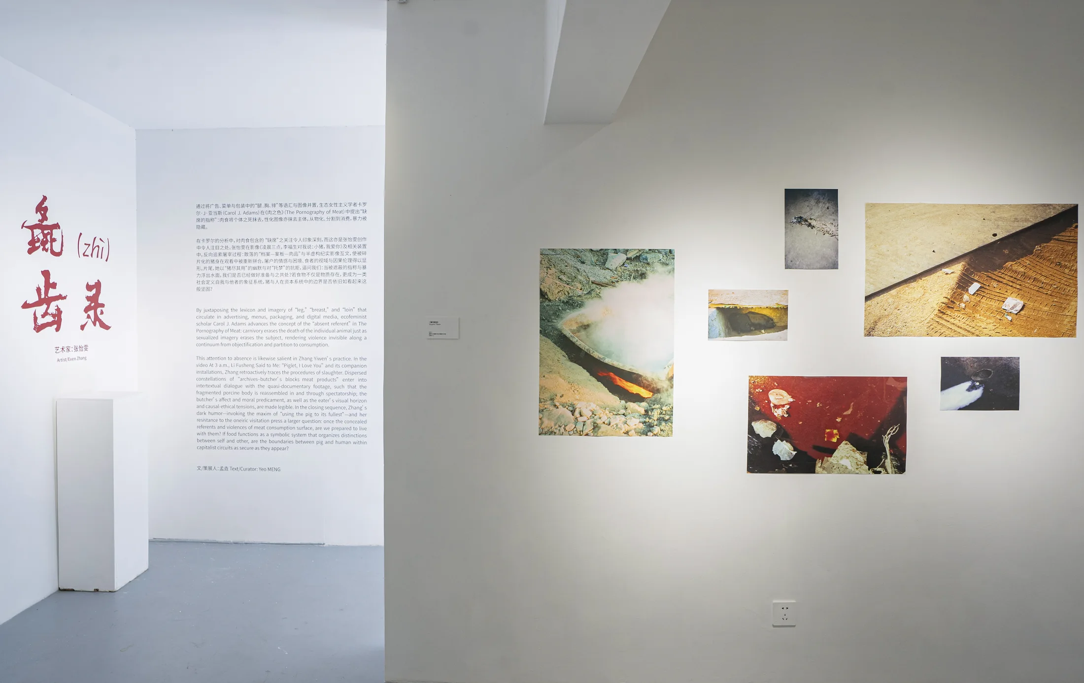 Installation view 1, Record of Swine