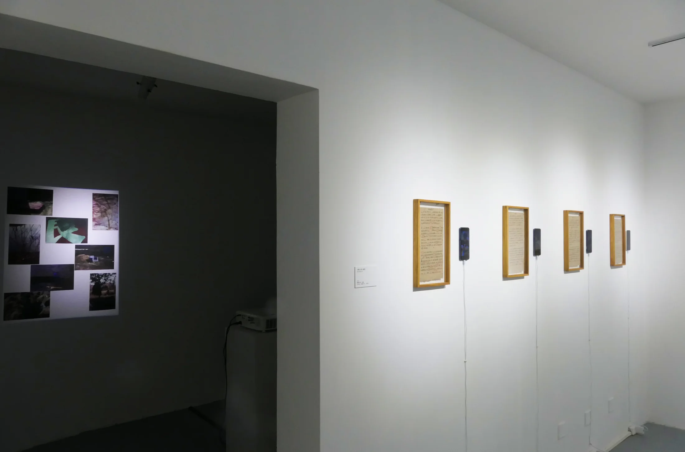 Installation view 2, Record of Swine