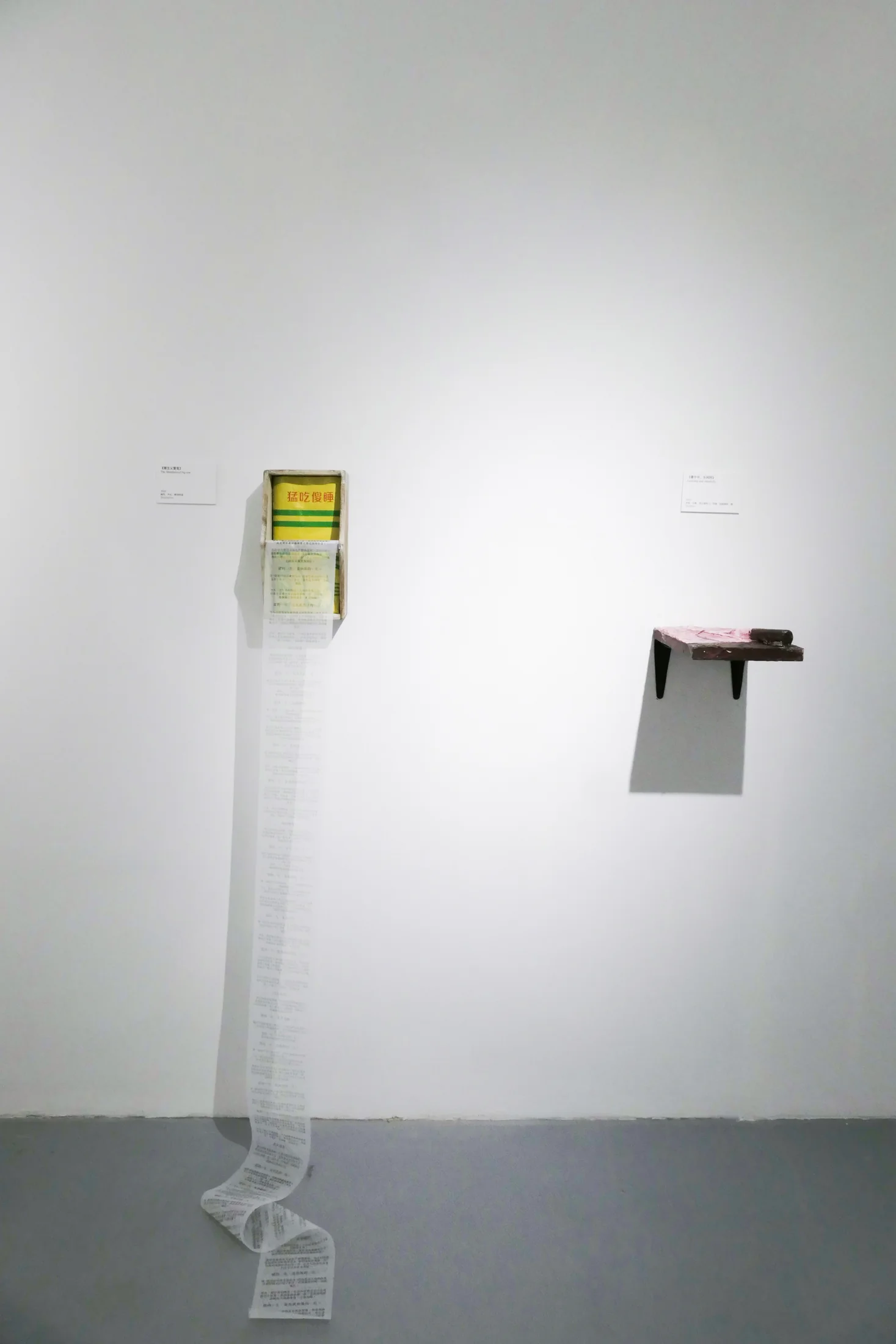 Installation view 3, Record of Swine