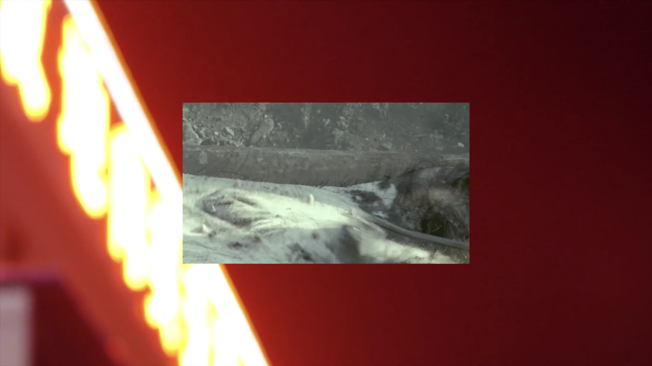 Video still 6, At 3 A.M., Li Fusheng Told Me: Piggy, I Love You
